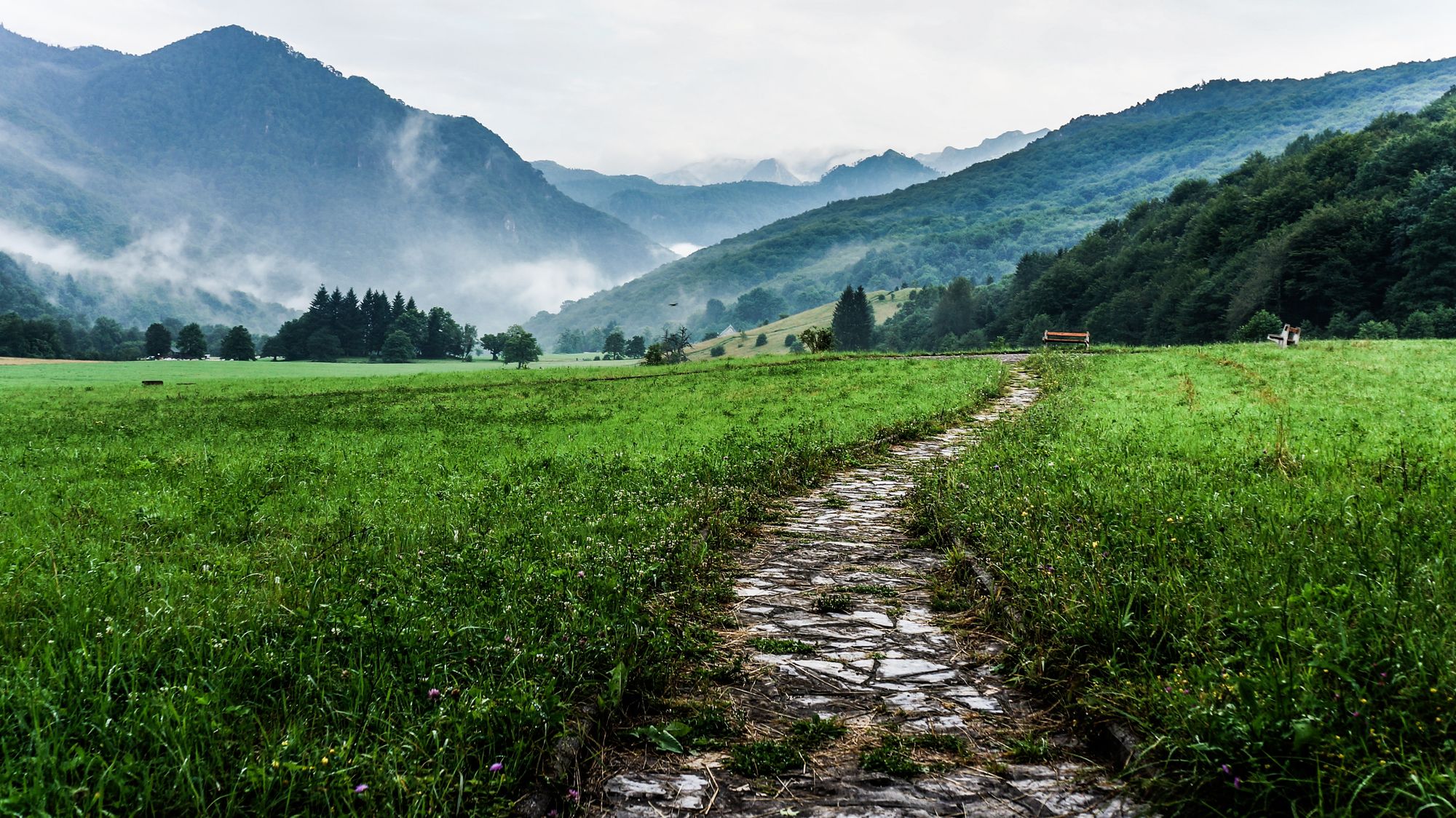 Lasting Impact on the Journey